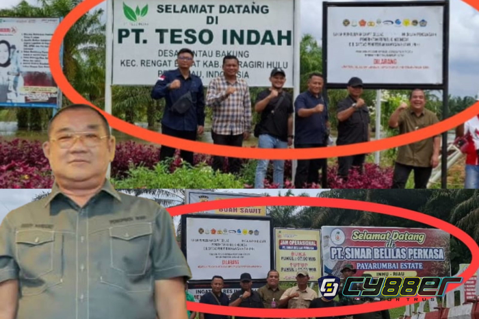 Dukungan terhadap Langkah Pemerintah Sita Aset Dedi Handoko Mengalir dari Kesultanan Peranap